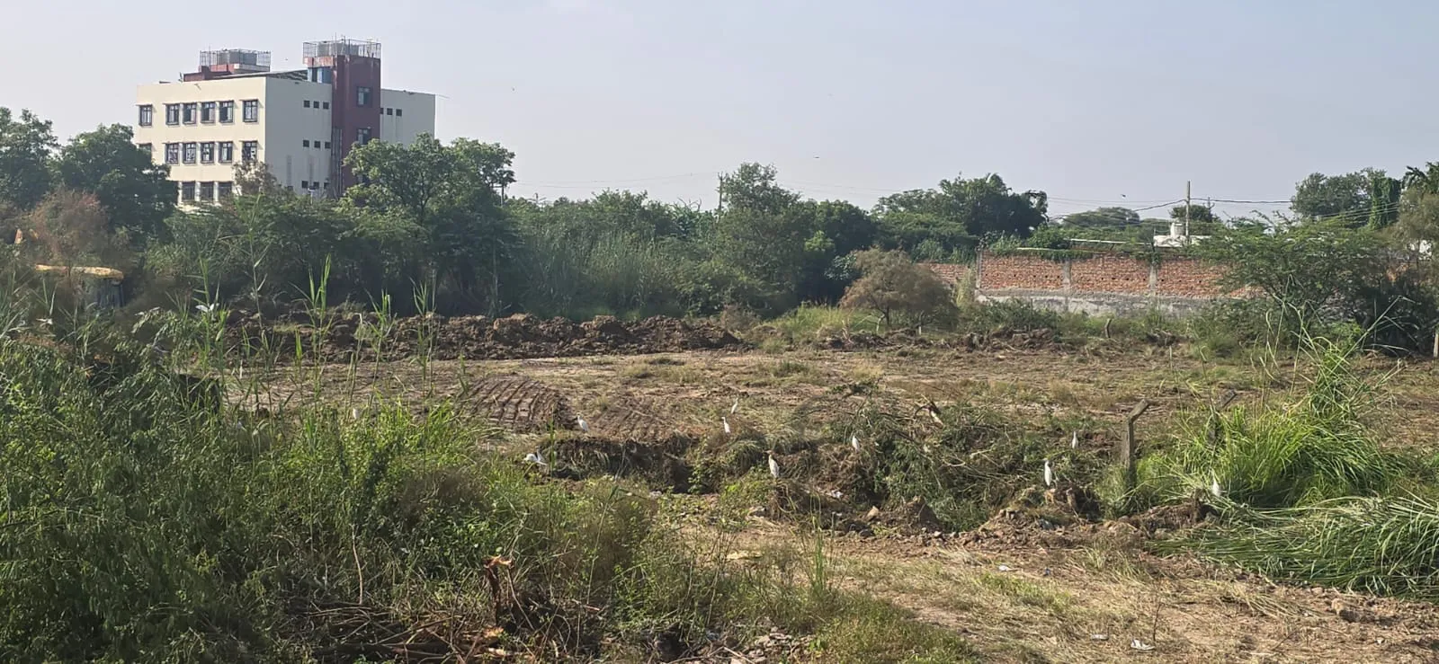Plot for sale in Kanjhawala